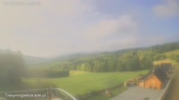 Zalesie - Mogielnica