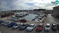 Novigrad - Porporela Marina