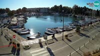 Cittanova - Mandrač