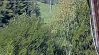 Zell am See - Hotel Berner