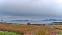 Laukvik