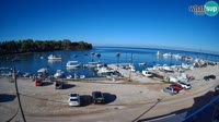 Savudrija - Marina