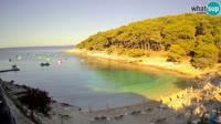 Lussinpiccolo - Sunčana uvala