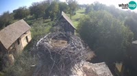 Jasenovac - Lonjsko polje - Cicogne