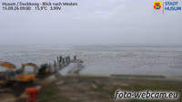 Husum - Dockkoog