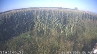 Eboli - Borgo Cioffi