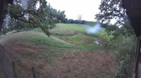Hofgeismar - Zoo di Sababurg - Elch-Lodge