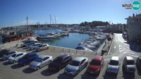 Novigrad - Porporela Marina