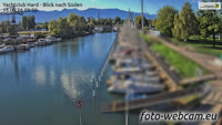 Hard - Zollhafen