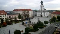 Rynek