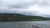 Bingen am Rhein - View of the Rhine