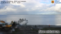 Husum - Dockkoog