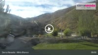 Sierra Nevada - Mirlo Blanco