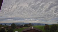 Root - Vista panoramica