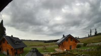 Oberharz am Brocken - Tanne