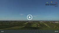 Gols - Vineyard