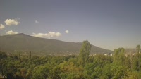 Sofia - Hladilnika