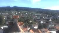 Markdorf - Storks