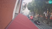 Miniatura