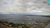 Roses - Porto