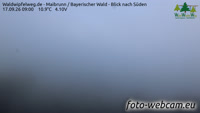 Maibrunn - Waldwipfelweg - Foresta Bavarese