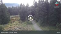 Bodenmais - Chamer Hütte