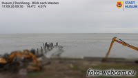 Husum - Dockkoog