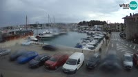 Novigrad - Porporela Marina
