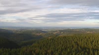 Schneekopf - Selva di Turingia