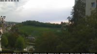 Neuhausen am Rheinfall - Ren