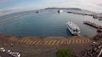 Procida - Uostas