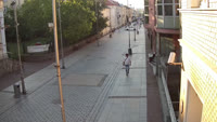 Miniaturka