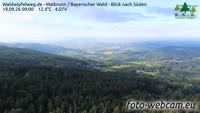 Maibrunn - Waldwipfelweg - Foresta Bavarese