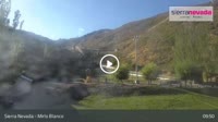 Sierra Nevada - Mirlo Blanco