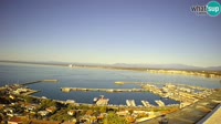 Roses - Port