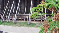 Graduation towers