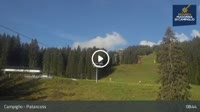 Madonna di Campiglio - Patascoss, Grostè