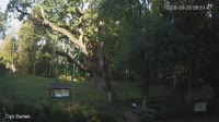 Zagnańsk - Bartek