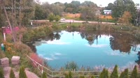Rąbień - Staw