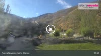 Sierra Nevada - Mirlo Blanco