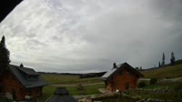 Oberharz am Brocken - Tanne