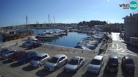 Novigrad - Porporela Marina