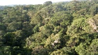 Yangambi Biosphere Reserve