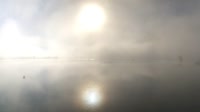 Walchsee - Lake view