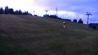 Kaniówka - Ski Area