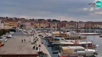 Rovigno - Lungomare e porto turistico
