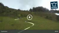 Saalfelden - Sommerrodelbahn