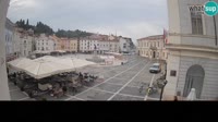 Miniatura