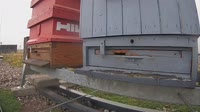 Pszczoły
