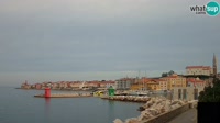 Pirano - Porto